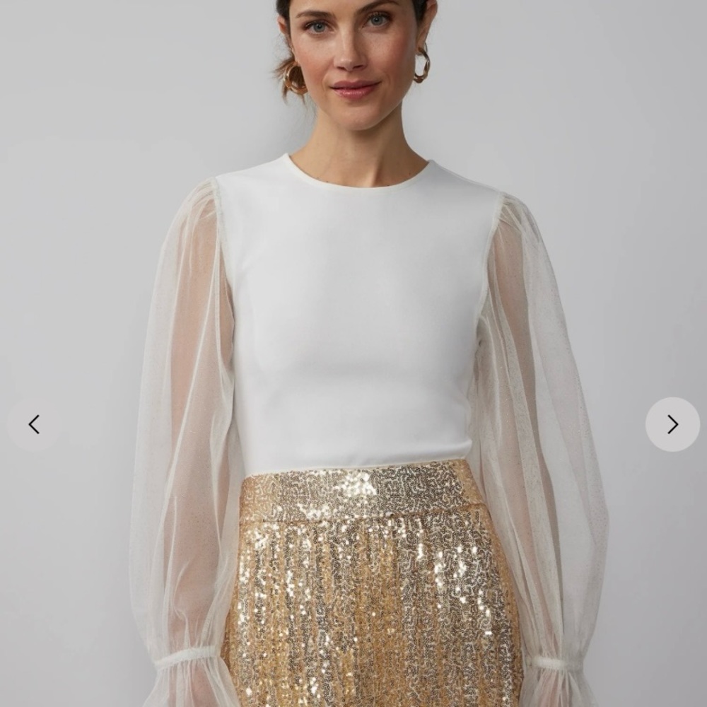 NWT Long Glitter Tulle Sleeve Top